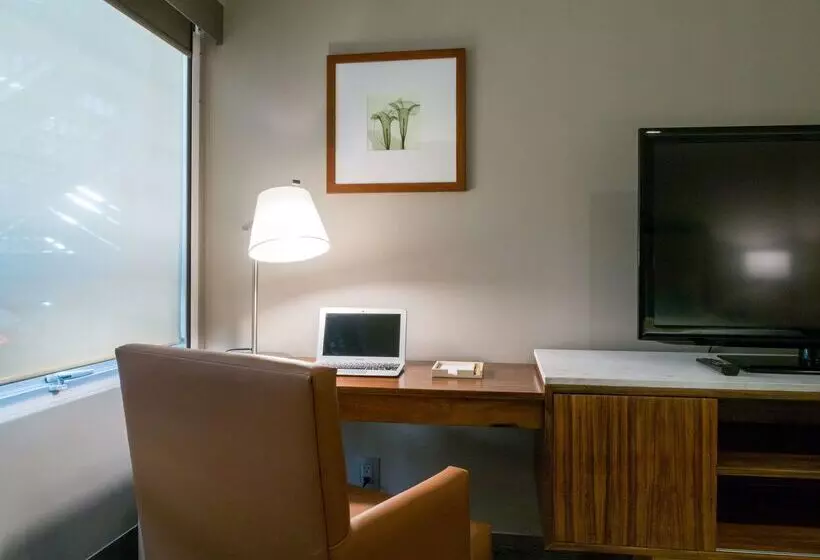 Fotos del hotel Dominion Polanco:  21