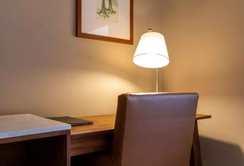 Fotos del hotel Dominion Polanco:  24