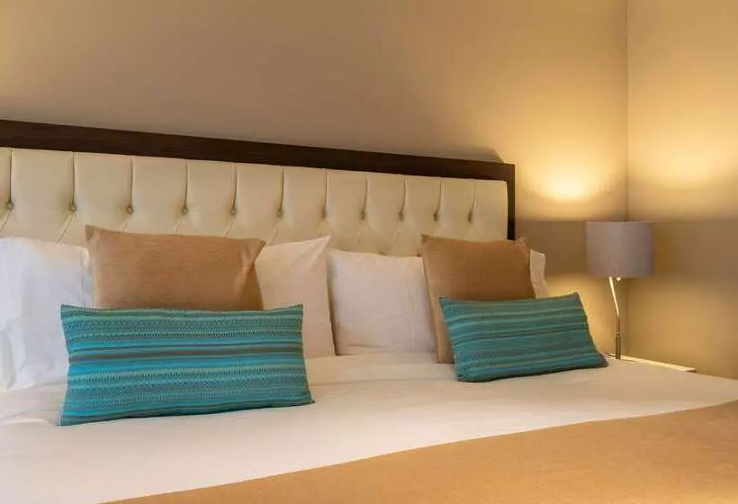 Fotos del hotel Dominion Polanco:  20