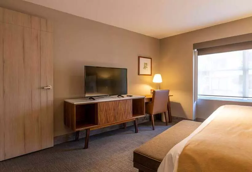 Fotos del hotel Dominion Polanco:  15