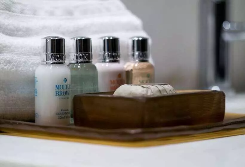 Fotos del hotel Dominion Polanco:  9