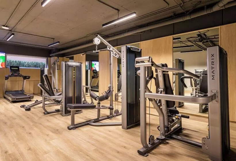 Fotos del hotel Dominion Polanco:  8