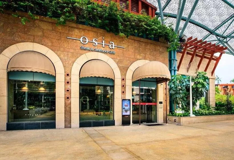 Fotos del hotel Resorts World Sentosa - Hotel Michael (sg Clean):  7