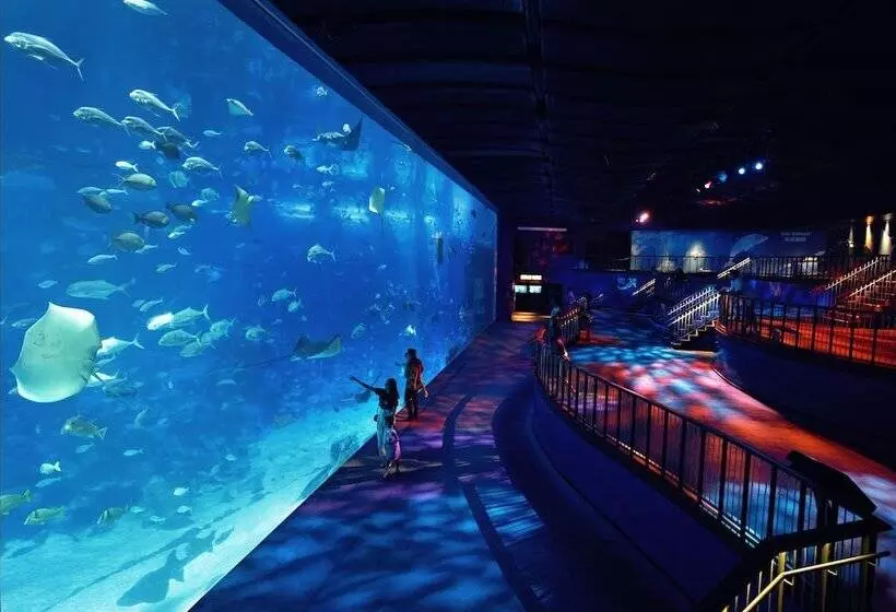 Fotos del hotel Resorts World Sentosa - Hotel Michael (sg Clean):  20