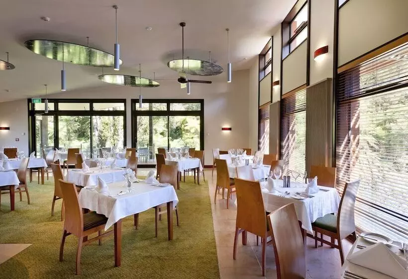 Fotos del hotel Te Waonui Forest Retreat:  3