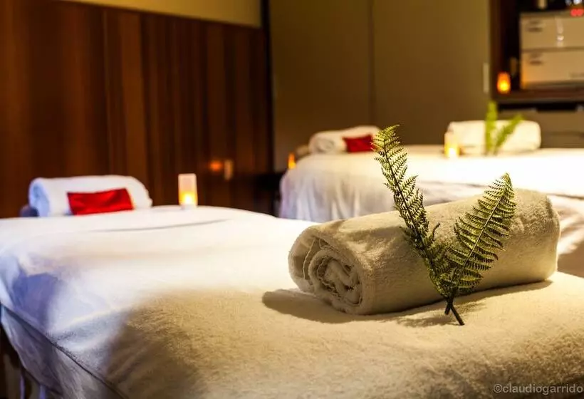 Fotos del hotel Te Waonui Forest Retreat:  22