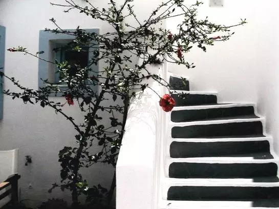 Fotos del hotel Amelie :  4