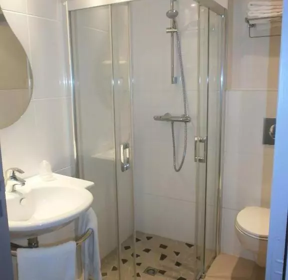 Fotos del hotel Hôtel Des Rosiers:  5