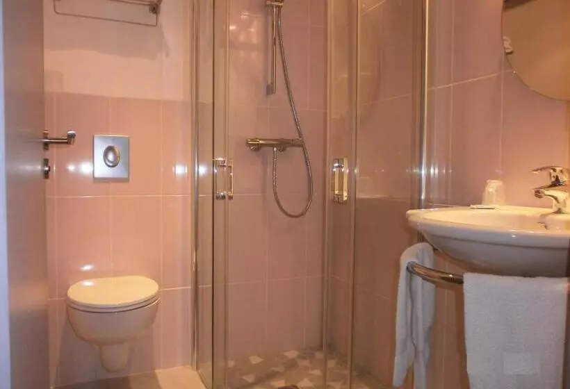 Fotos del hotel Hôtel Des Rosiers:  10