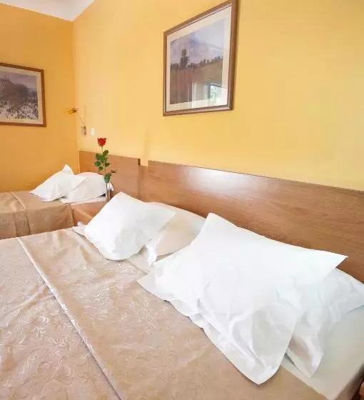 Fotos del hotel Wgrand:  8