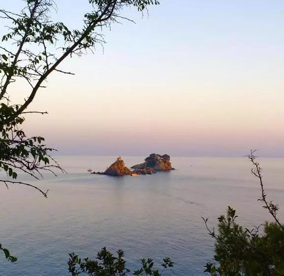 Fotos del hotel Wgrand:  7