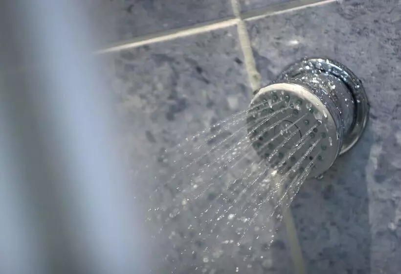 Fotos del hotel D'aragon:  23