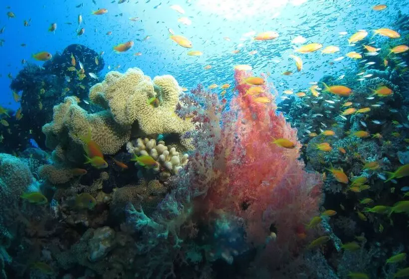 Fotos del hotel Fanadir Hotel El Gouna:  10