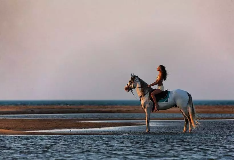 Fotos del hotel Fanadir Hotel El Gouna:  18