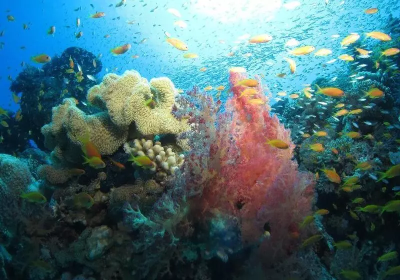 Fotos del hotel Fanadir Hotel El Gouna:  14