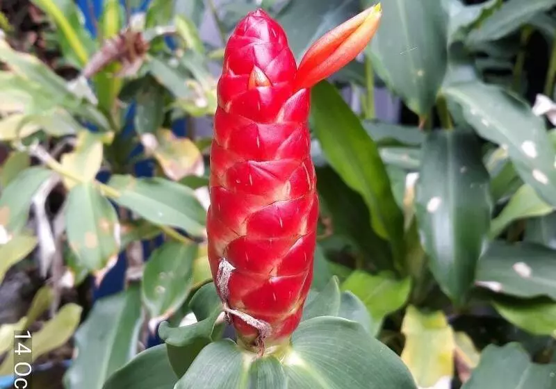 Fotos del hotel Porterhouse Beach:  5