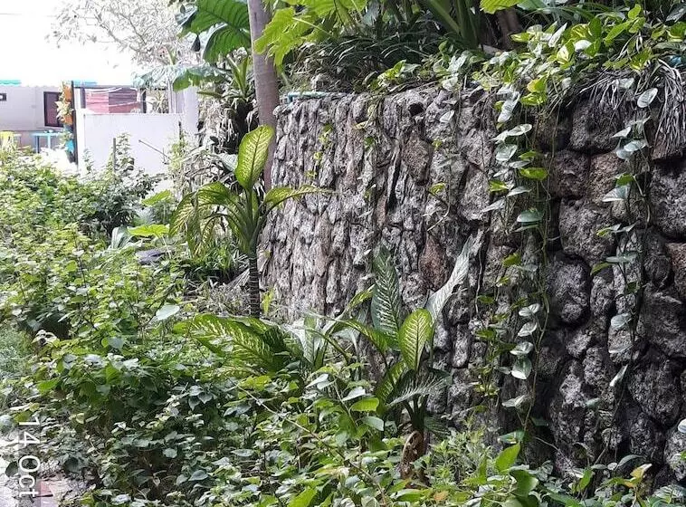 Fotos del hotel Porterhouse Beach:  10