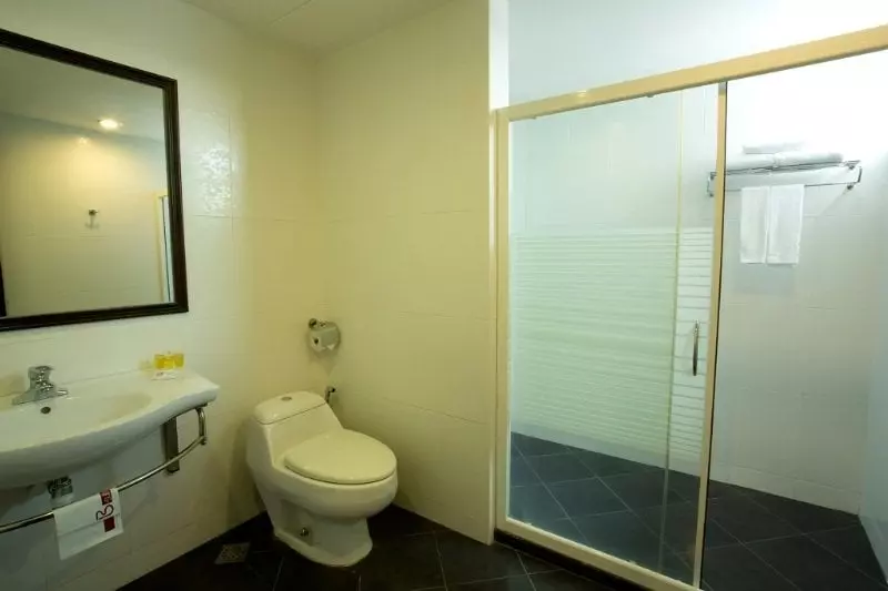 Fotos del hotel Alora Hotel:  6