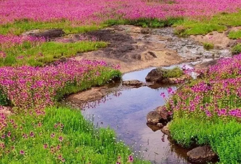 Fotos del hotel Crowne Plaza Pune City Centre, An Ihg:  6