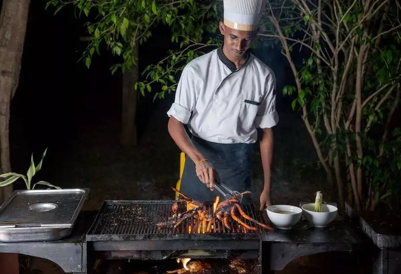 Fotos del hotel Elephant Reach:  13