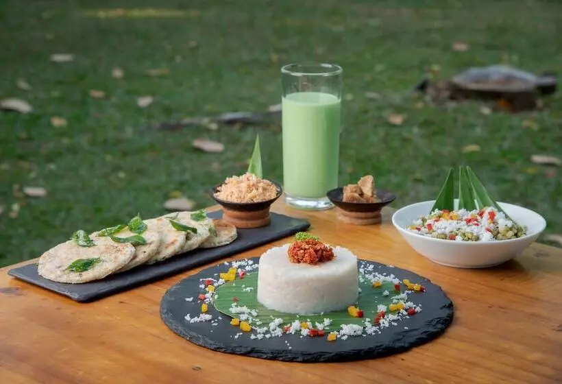 Fotos del hotel Elephant Reach:  17