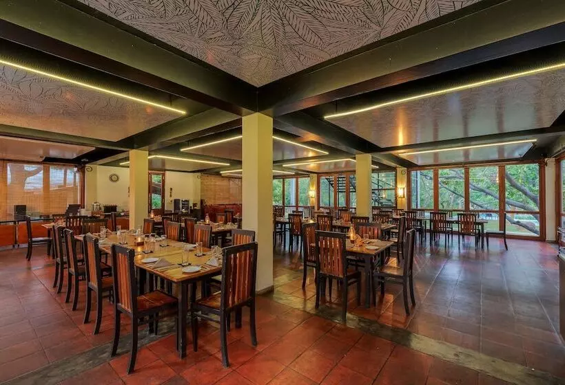 Fotos del hotel Elephant Reach:  3