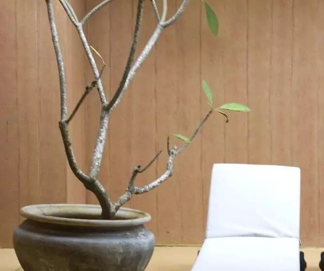 Fotos del hotel Jetwing Beach:  4