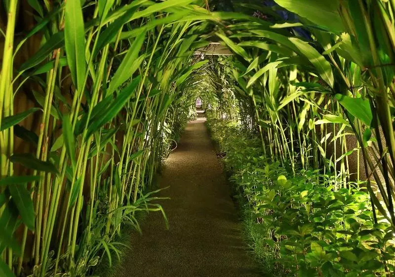 Fotos del hotel Ziva A Boutique Villa:  21