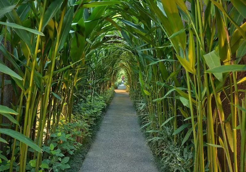 Fotos del hotel Ziva A Boutique Villa:  5