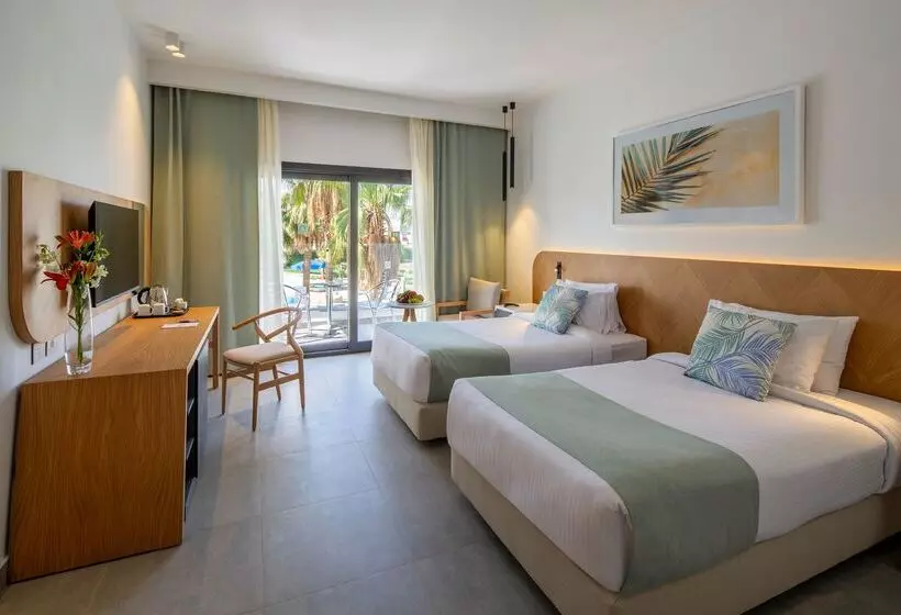 Fotos del hotel Amphoras Beach:  16