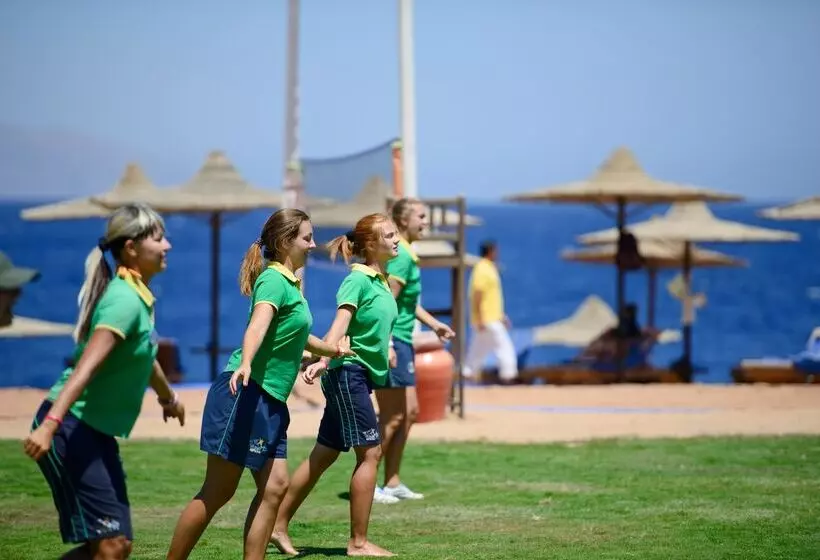 Fotos del hotel Amphoras Beach:  8