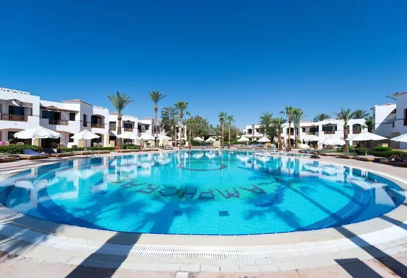 Fotos del hotel Amphoras Beach:  23