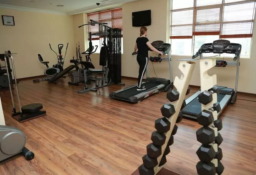 Fotos del hotel Sharjah Palace:  12