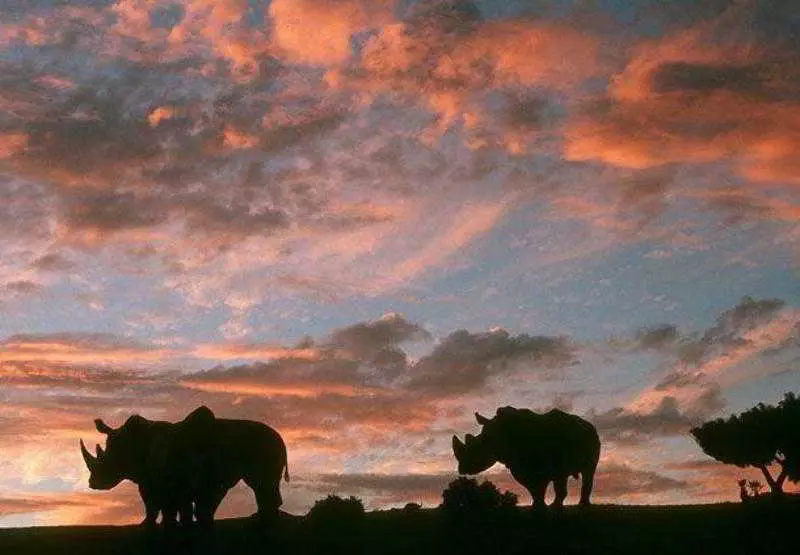 Fotos del hotel Residence Inn San Diego Rancho Bernardo Scripps Poway:  24