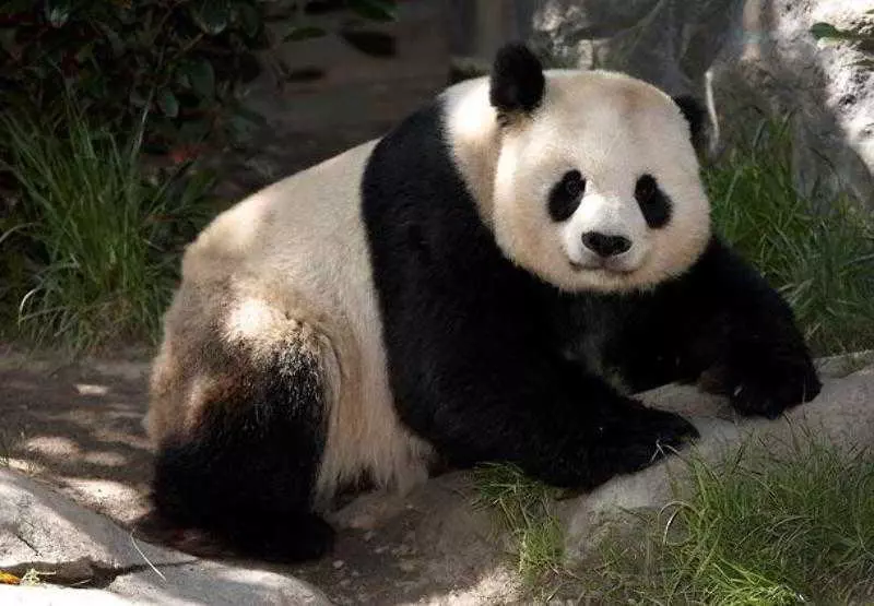 Fotos del hotel Residence Inn San Diego Rancho Bernardo Scripps Poway:  16