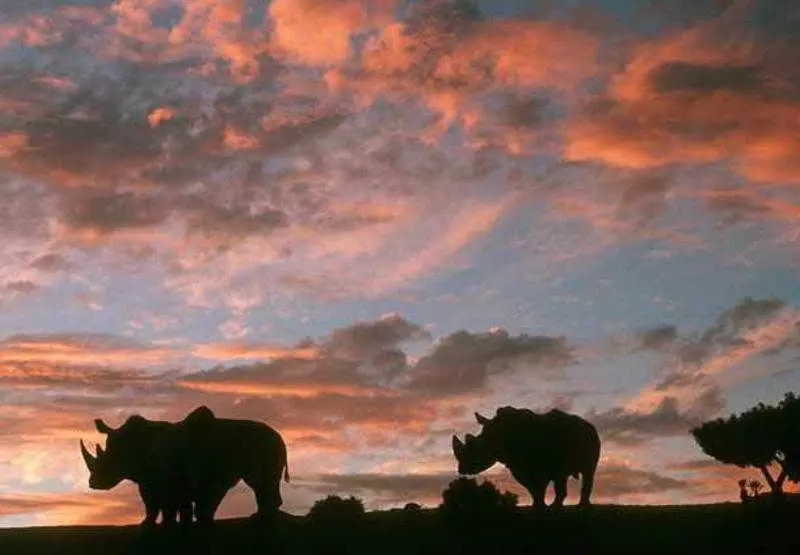 Fotos del hotel Residence Inn San Diego Rancho Bernardo Scripps Poway:  22