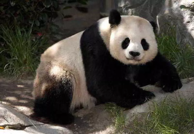 Fotos del hotel Residence Inn San Diego Rancho Bernardo Scripps Poway:  13