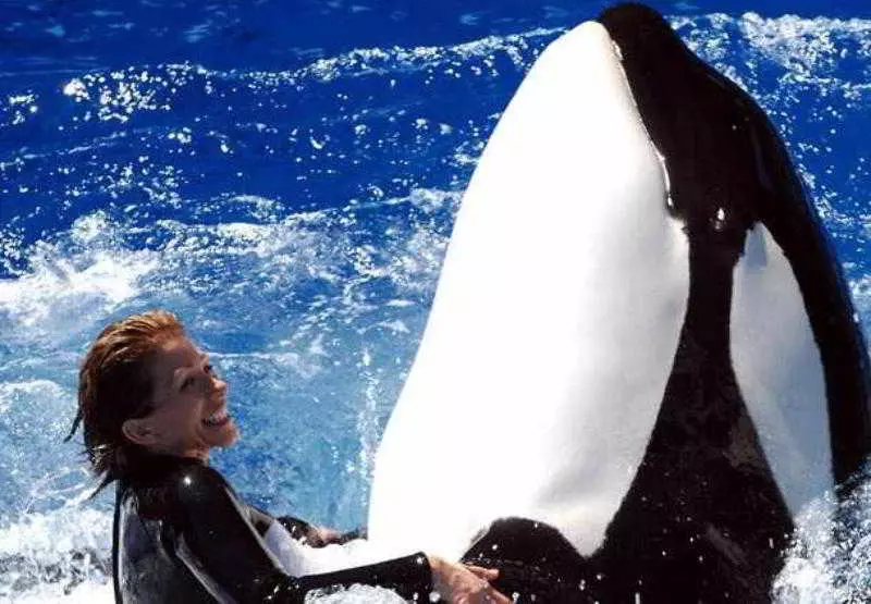 Fotos del hotel Residence Inn San Diego Rancho Bernardo Scripps Poway:  6