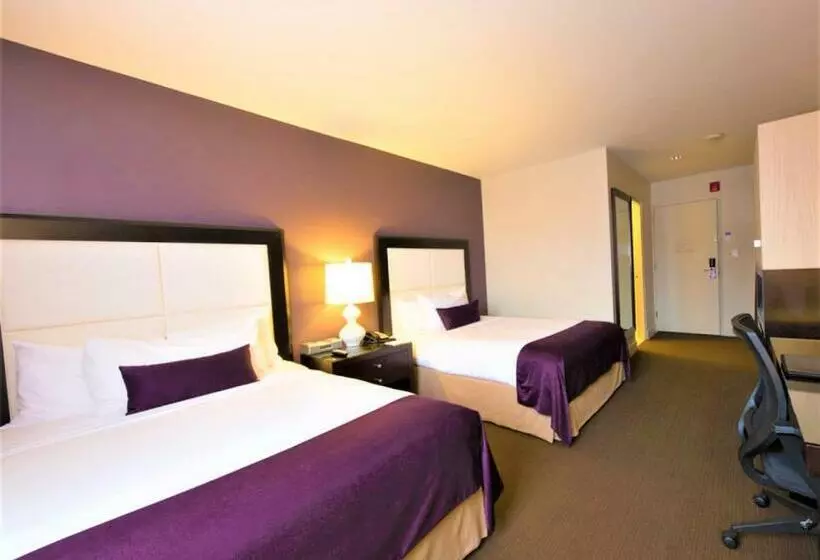 Fotos del hotel The Andrew Hotel:  16