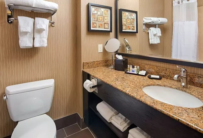 Fotos del hotel Best Western Premier Freeport Inn Calgary Airport:  5