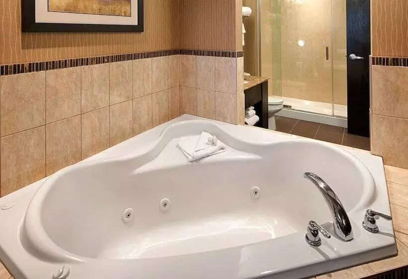 Fotos del hotel Best Western Premier Freeport Inn Calgary Airport:  18