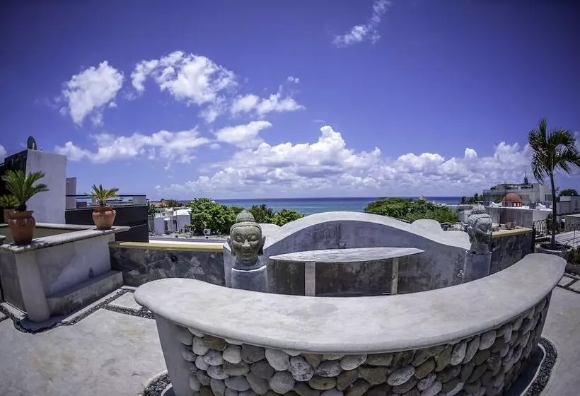 Fotos del hotel Cielo:  13