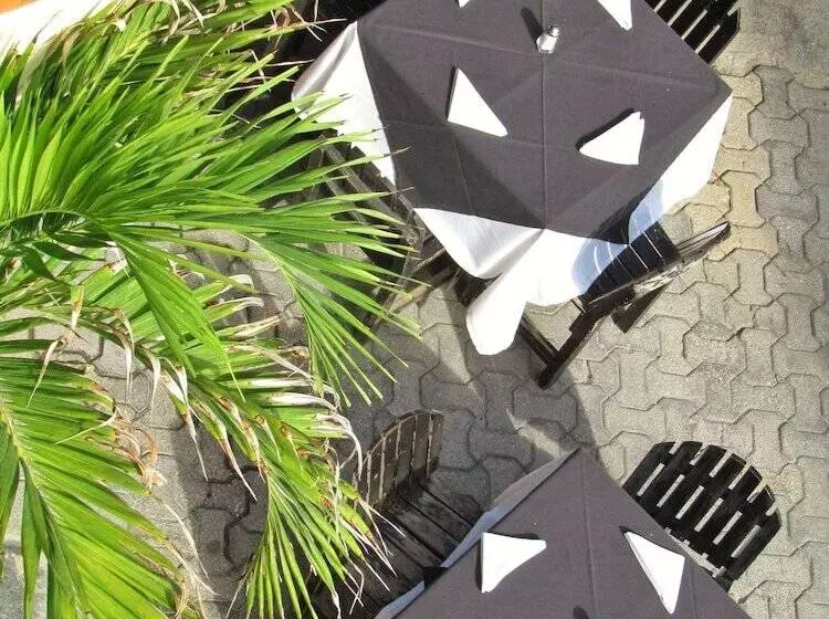 Fotos del hotel Cielo:  4