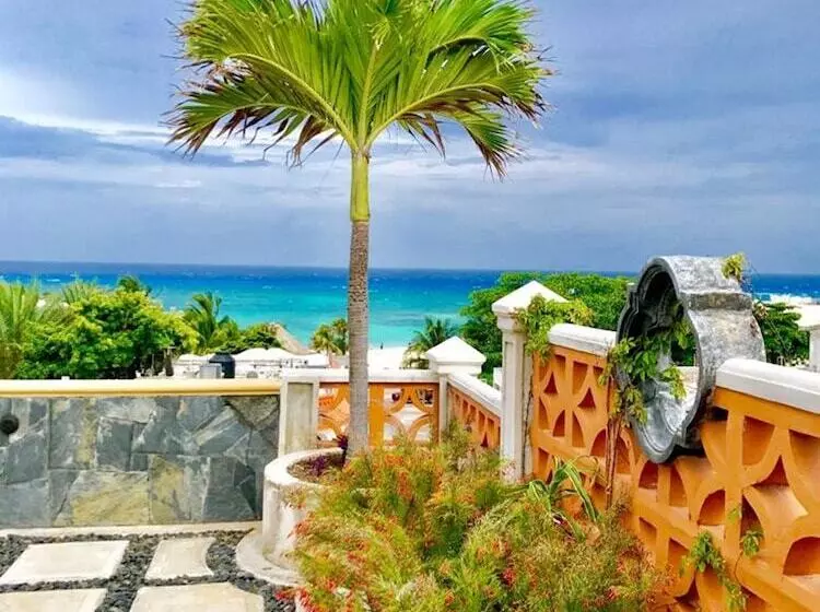 Fotos del hotel Cielo:  11