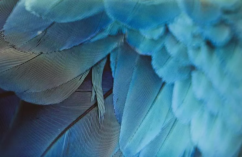 Fotos del hotel De Sèze:  3