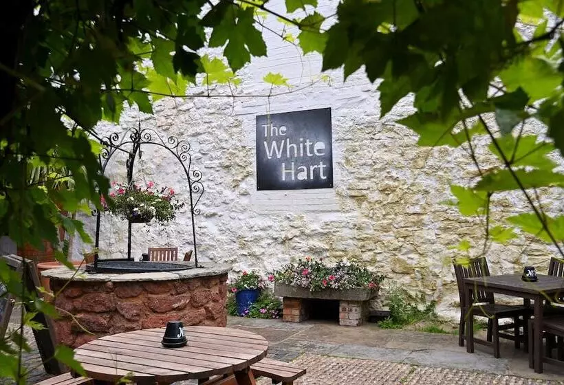 Fotos del hotel White Hart, Exeter By Marston's Inns:  8