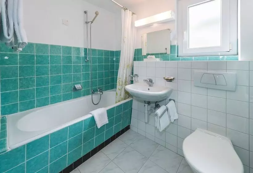 Fotos del hotel Rhodania:  6