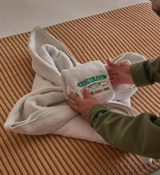 Fotos del hotel Casona Plaza  Arequipa:  2