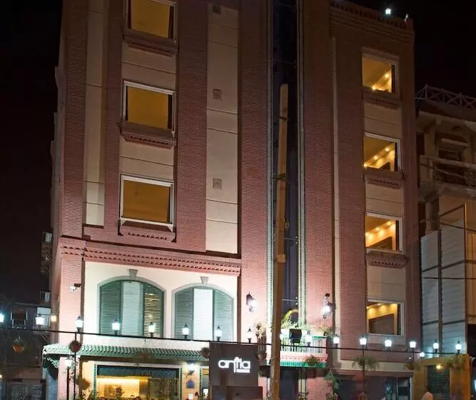 Capital O 16658 Anila