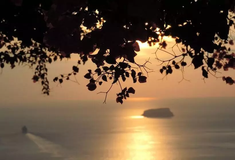 Fotos del hotel Nautilus Dome:  12